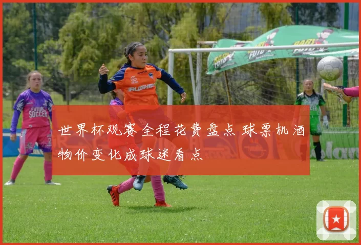 世界杯观赛全程花费盘点 球票机酒物价变化成球迷看点