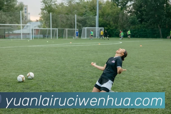 App Interface Preview