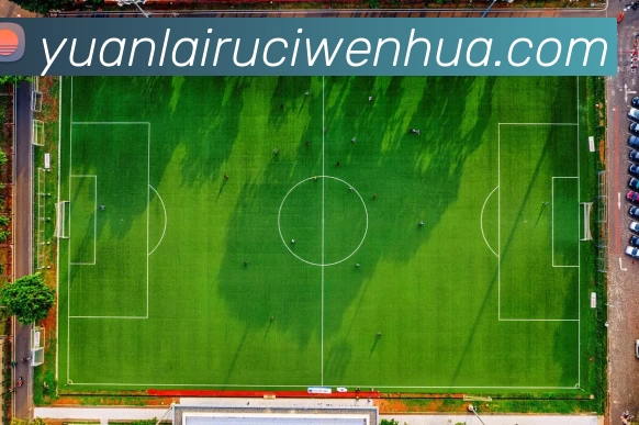 emc易倍(EMCSports)官方网站APP 封面图